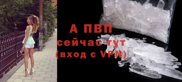 тгк Чекалин