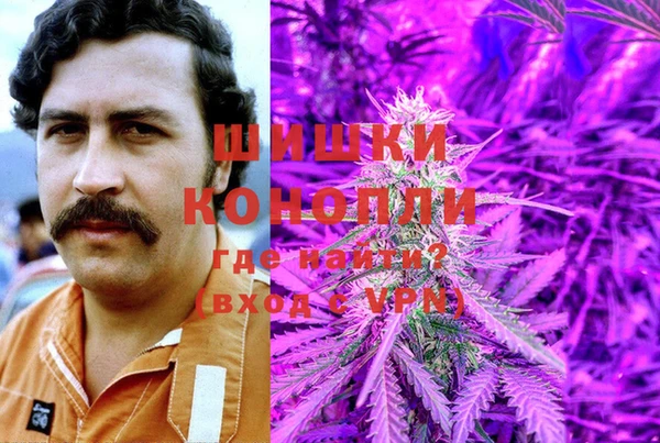 тгк Чекалин