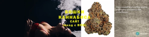 тгк Чекалин