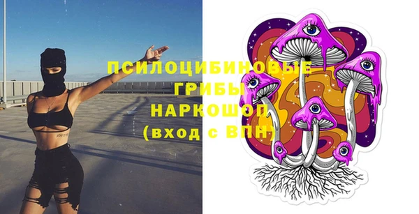 твердый Чердынь