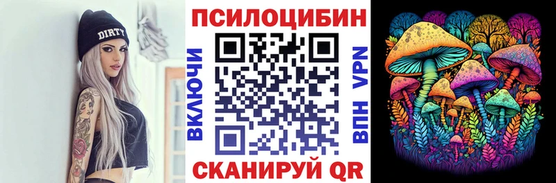 где продают   OMG зеркало  Псилоцибиновые грибы мицелий  Котельнич 